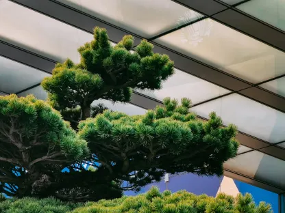 Casino Win Paradise App Mobile